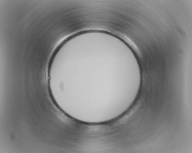 X0000115420988200911241344