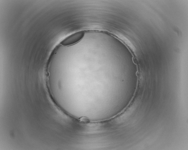 X0000115420989200911241344