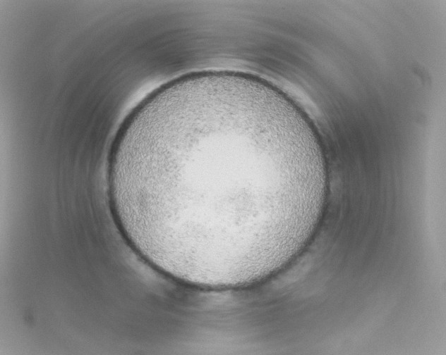 X0000115420990200911241344