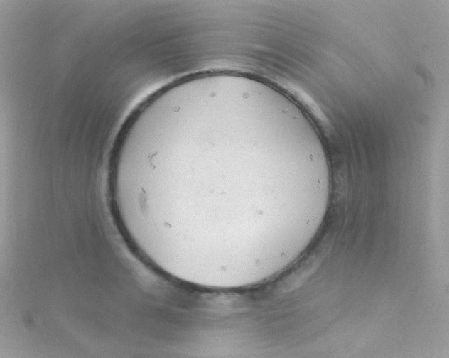 X0000115420991200911241344