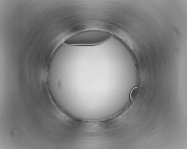 X0000115420993200911241344