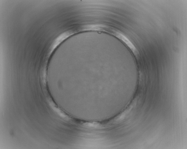 X0000115420994200911241344