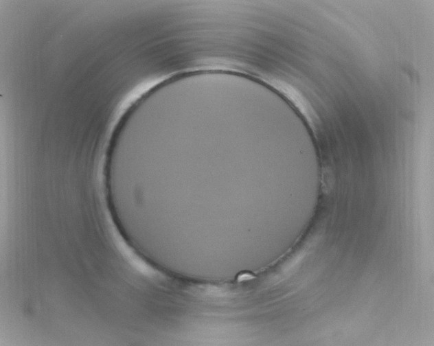 X0000115420995200911241344