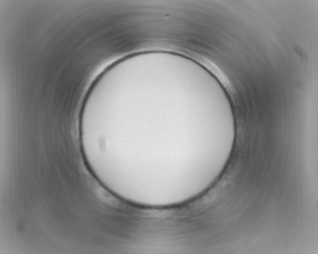 X0000115420996200911241344