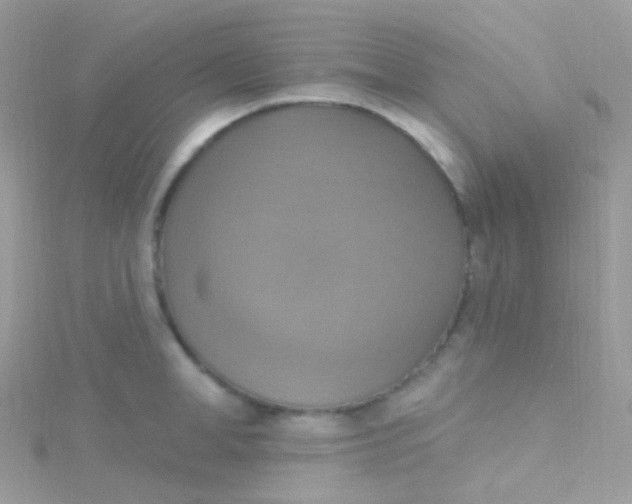 X0000115420998200911241344