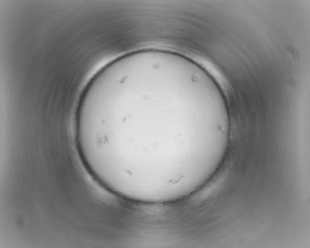 X0000115420999200911241344