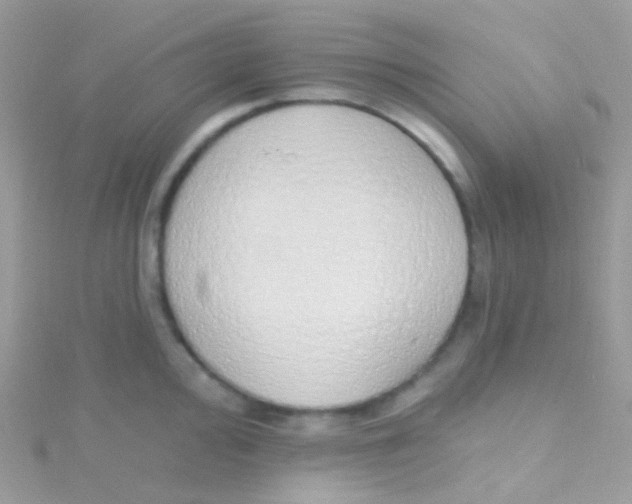 X0000115421000200911241344