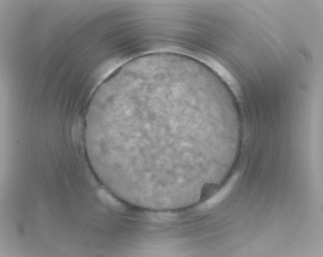 X0000115421001200911241344