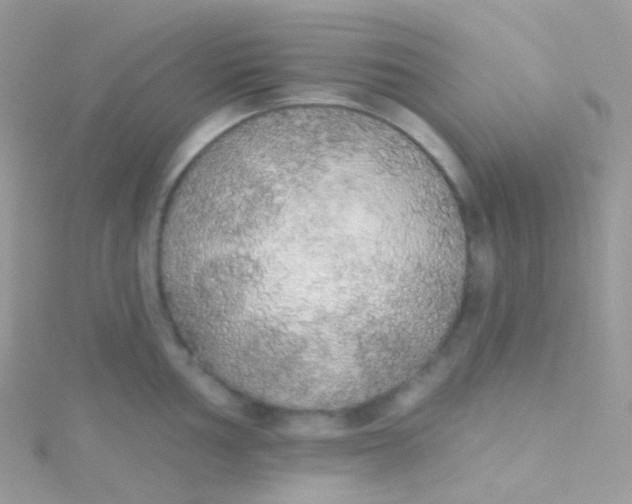 X0000115421002200911241344