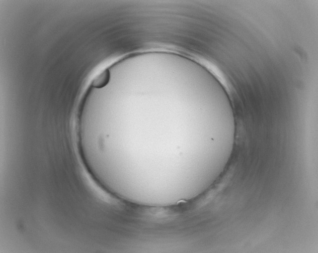 X0000115421003200911241344