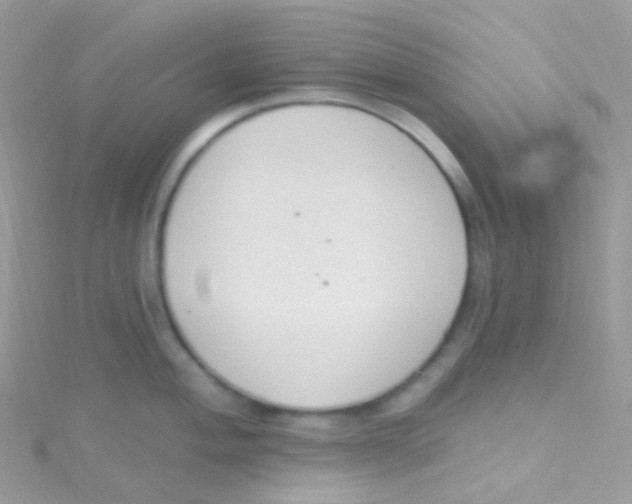 X0000115421004200911241344