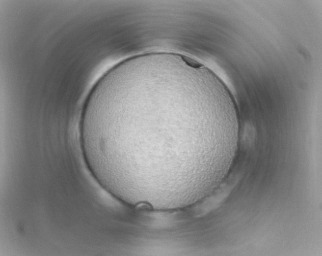 X0000115421005200911241344