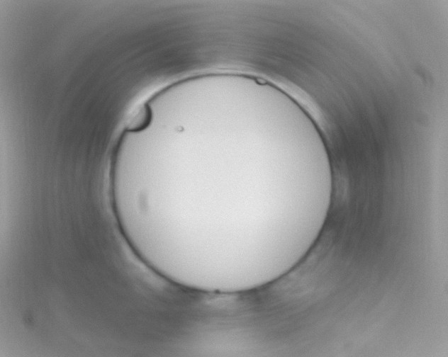 X0000115421006200911241344