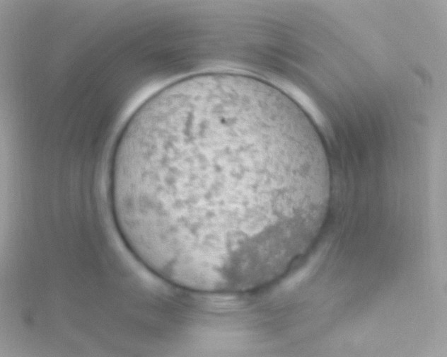 X0000115421007200911241344