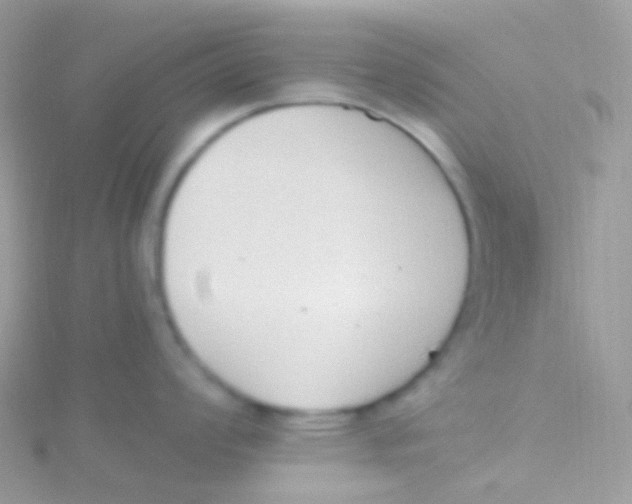 X0000115421008200911241344