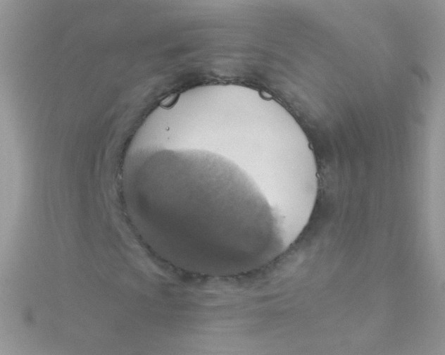 X0000115421009200911241343