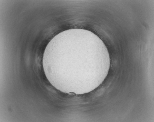 X0000115421010200911241343