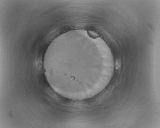 X0000115421011200911241343