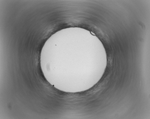 X0000115421012200911241343