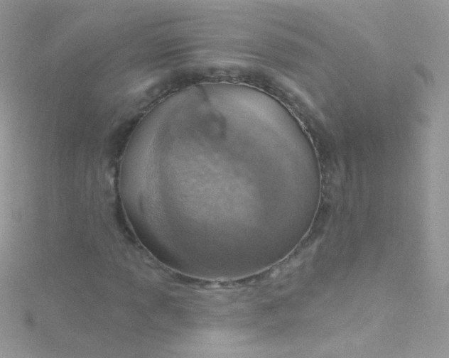 X0000115421013200911241343