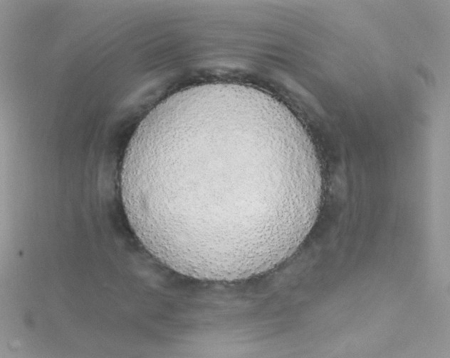 X0000115421014200911241343