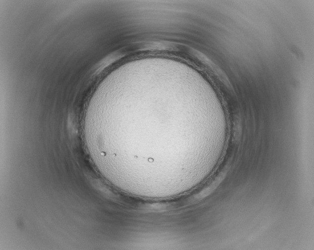 X0000115421017200911241343