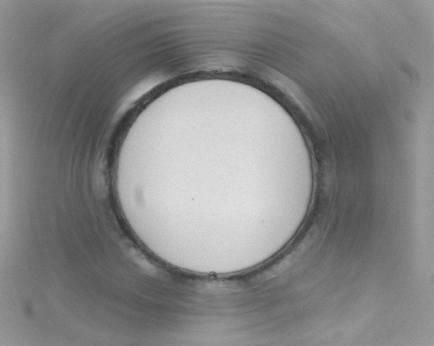 X0000115421018200911241343