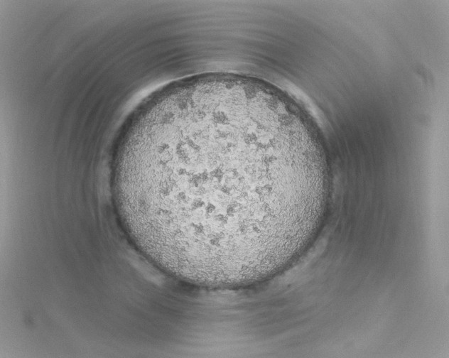 X0000115421019200911241343