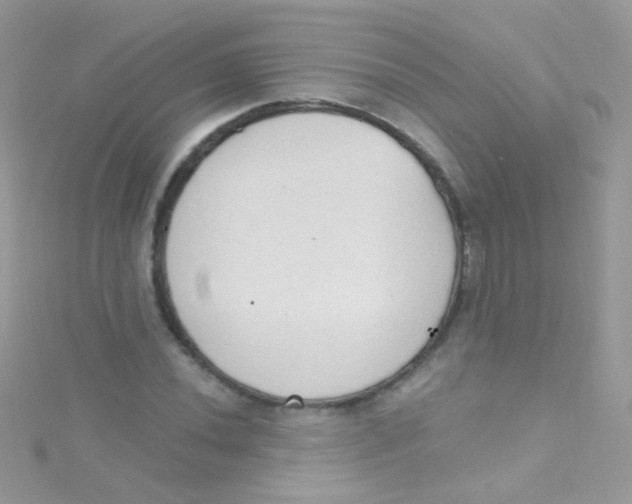 X0000115421020200911241343