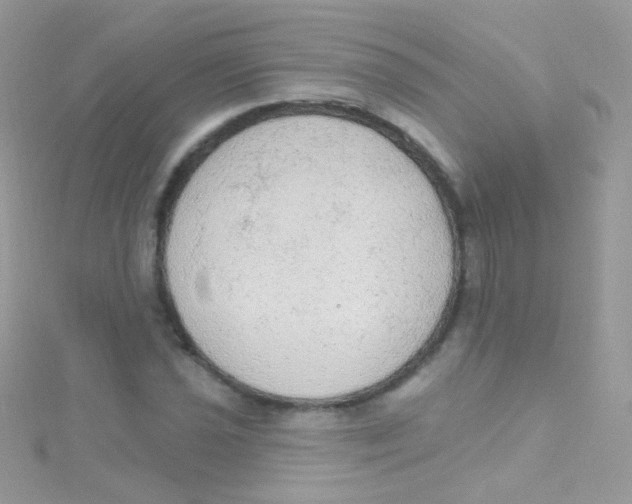 X0000115421021200911241343