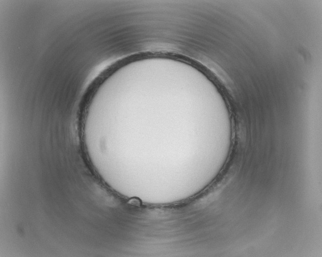 X0000115421022200911241343