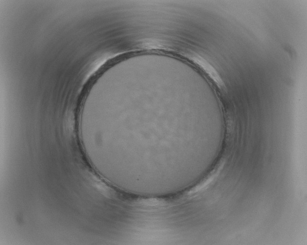 X0000115421023200911241344