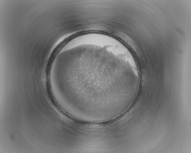 X0000115421024200911241344