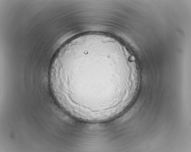 X0000115421025200911241344