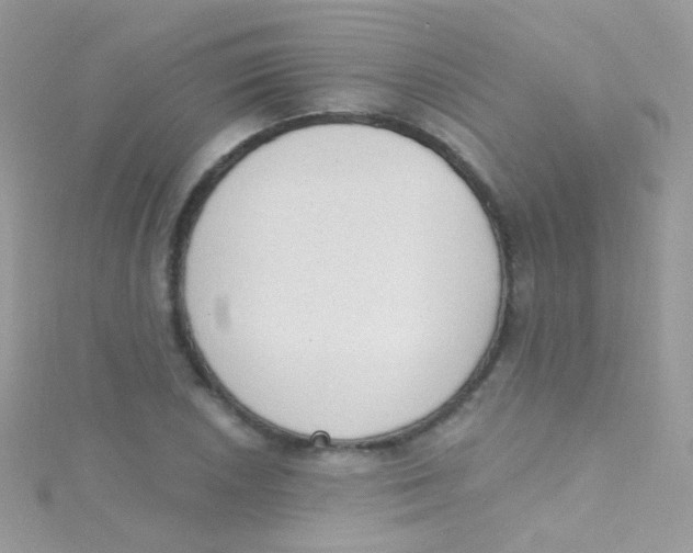 X0000115421026200911241344