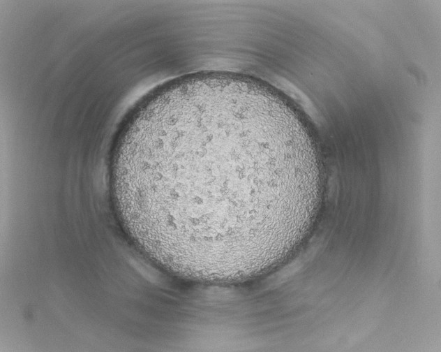 X0000115421027200911241344