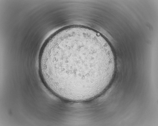 X0000115421028200911241344