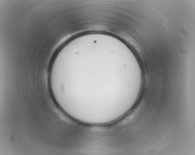 X0000115421029200911241344