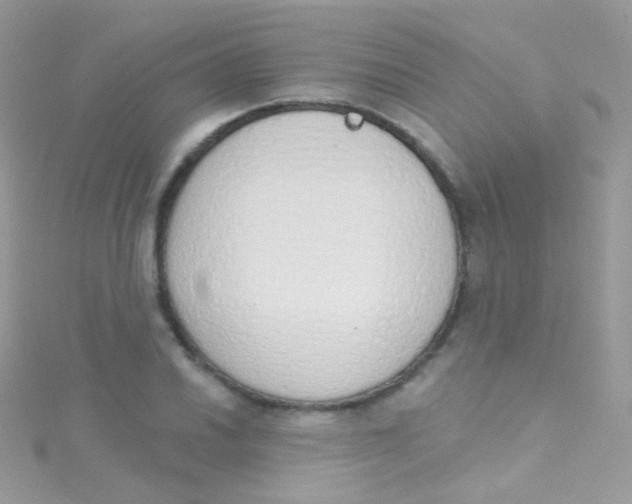 X0000115421030200911241344