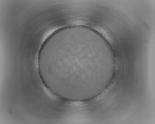 X0000115421031200911241344