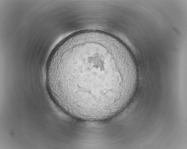 X0000115421032200911241344