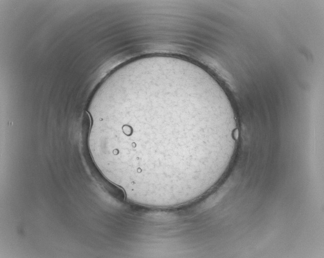 X0000115421033200911241344