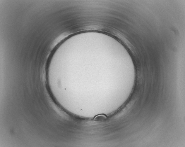 X0000115421034200911241344