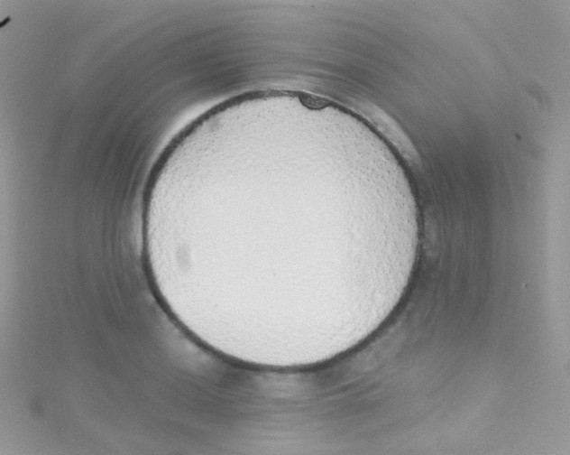 X0000115421036200911241344