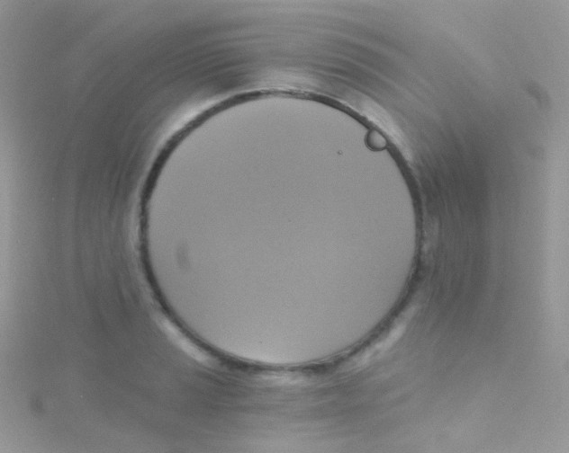 X0000115421037200911241344