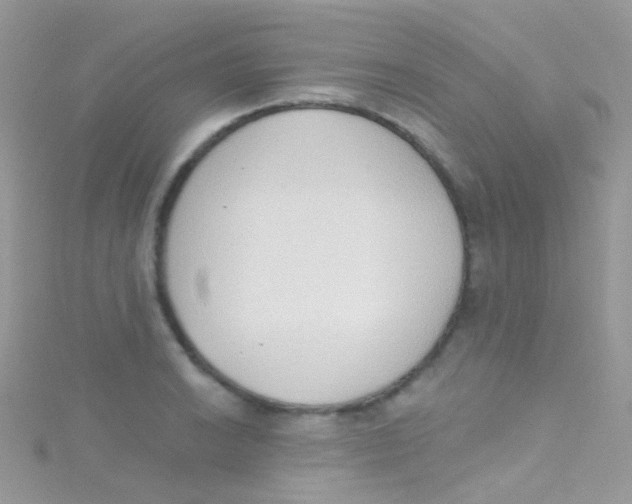 X0000115421038200911241344