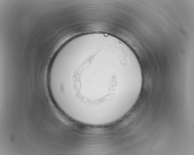 X0000115421039200911241344