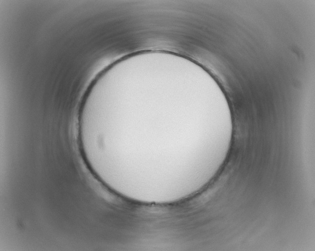 X0000115421040200911241344