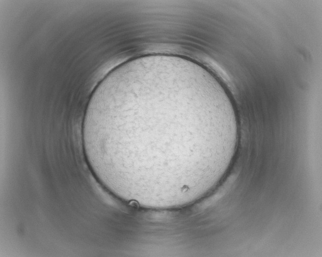 X0000115421041200911241344