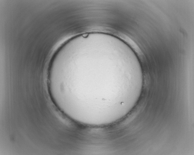 X0000115421043200911241344